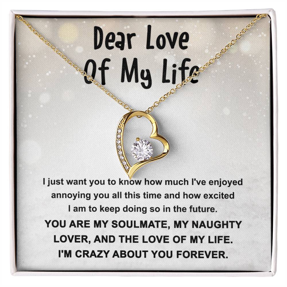 Soulmate - Enjoyed Annoying You Necklace